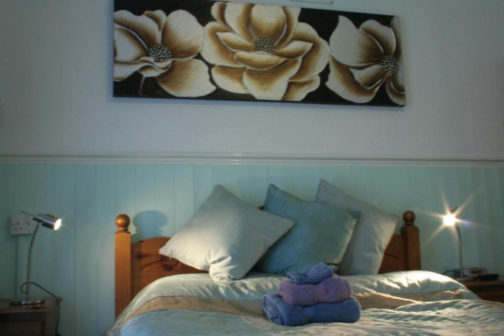 Devon View Guest house Swansea
