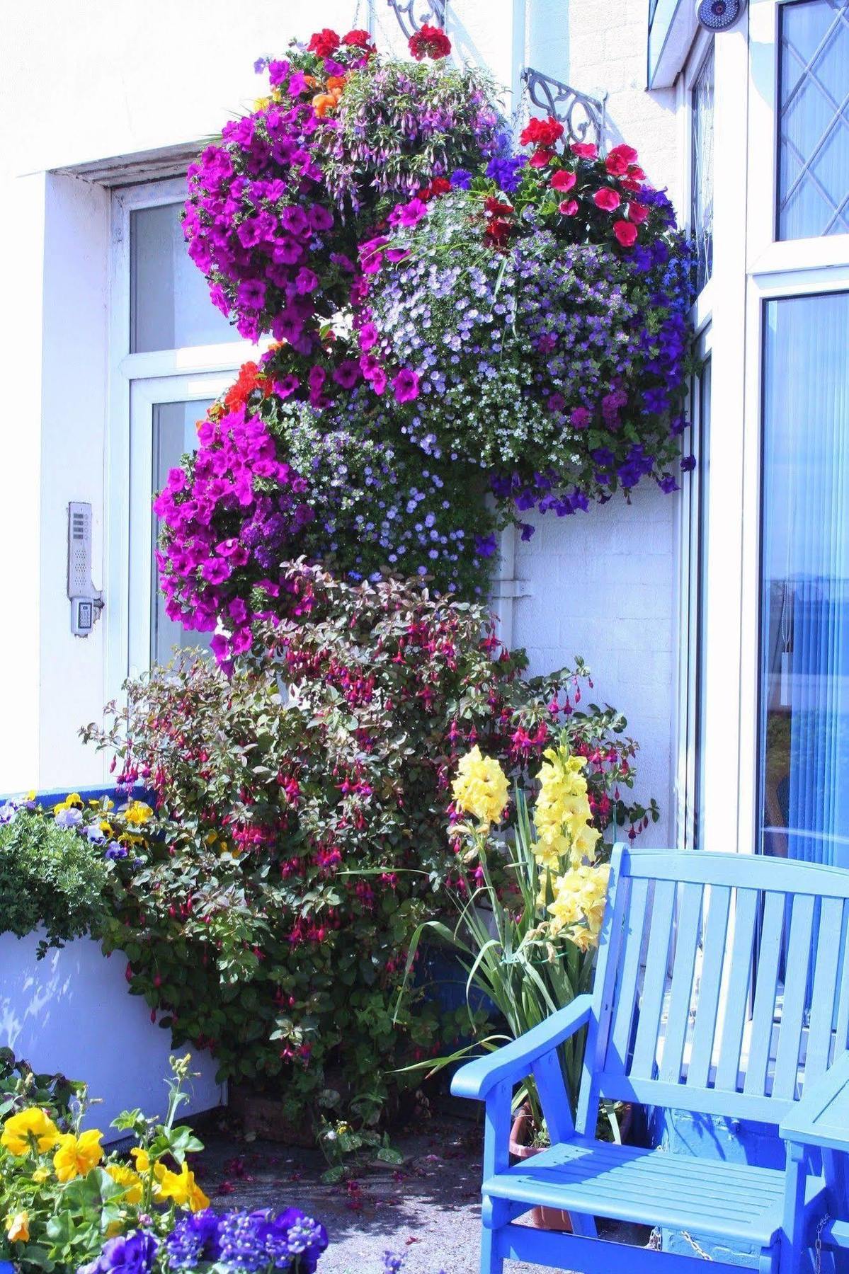 Devon View Guest house Swansea